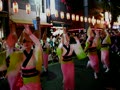 神楽坂祭り（阿波踊り)
